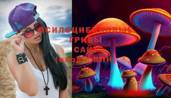 мескалин Алексин